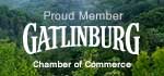 Don't miss the Smoky Mountains during your Gatlinburg visit.